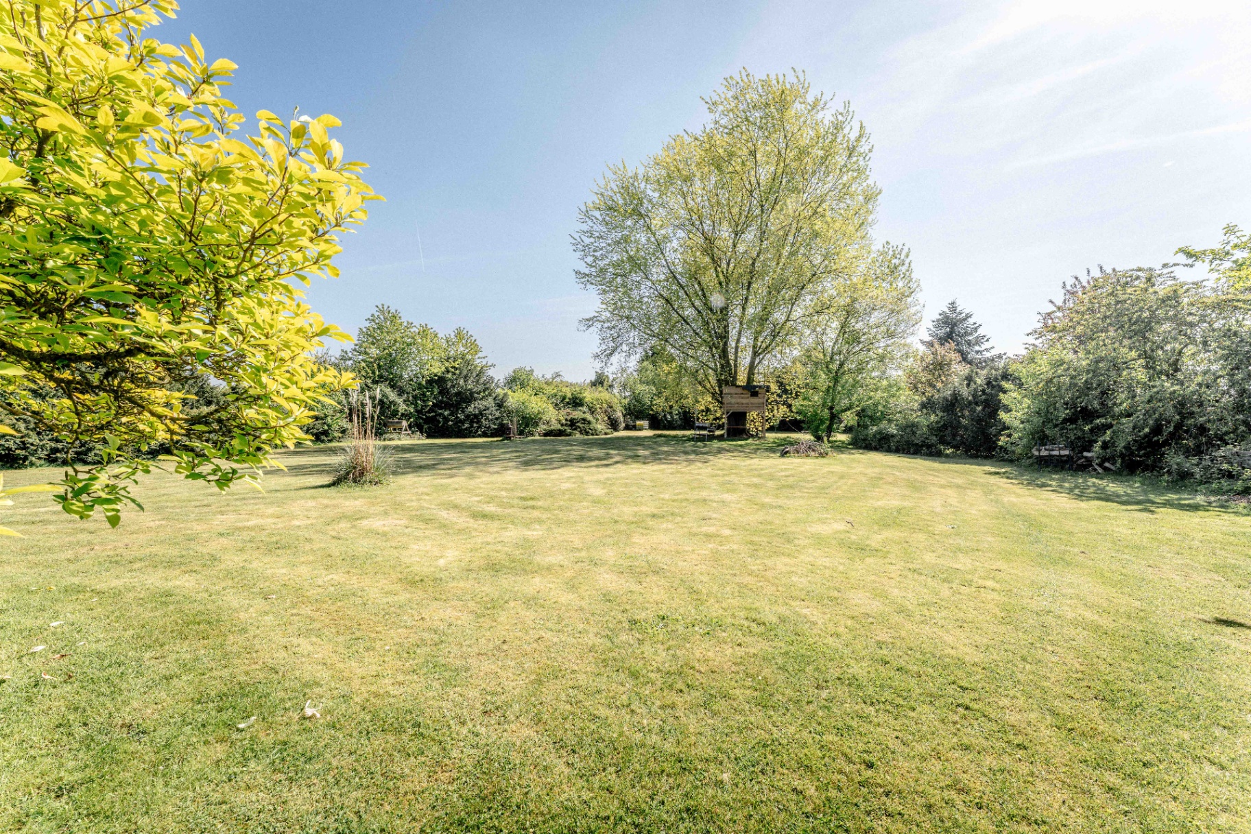 Freie Gartenfläche mit altem Baumbestand
